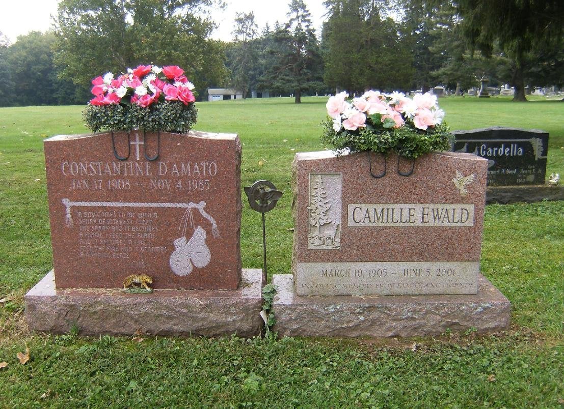 The graves of Cus D'Amato and Camille Ewald