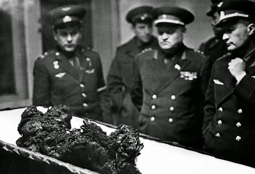 Vladimir Komarov body